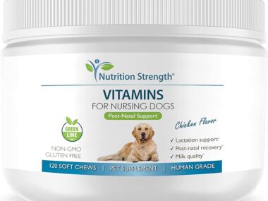 What is the Best Pet Dog Nutrition Supplement on the Market
